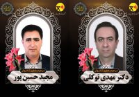 دو تن از کارکنان خدوم برق منطقه‌ای فارس در حین انجام مأموریت به شهادت رسیدند