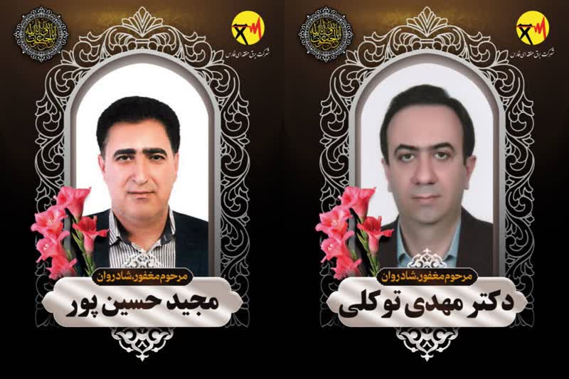 دو تن از کارکنان خدوم برق منطقه‌ای فارس در حین انجام مأموریت به شهادت رسیدند