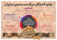 تولید کنندگان بزرگ سیب زمینی در ایران + اینفوگرافیک