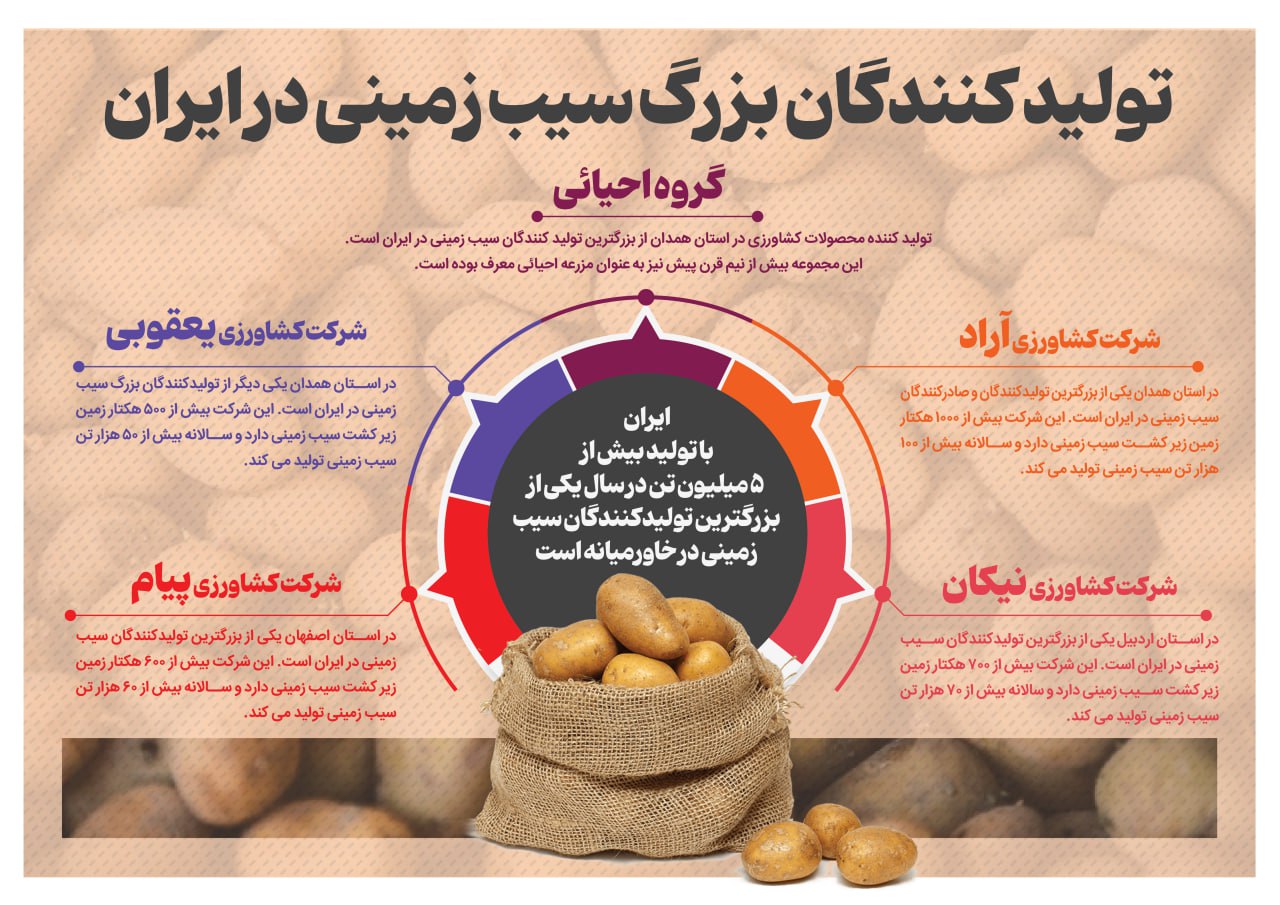 تولید کنندگان بزرگ سیب زمینی در ایران + اینفوگرافیک