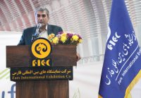 فارس رکوردار جمعیت دام سبک کشور