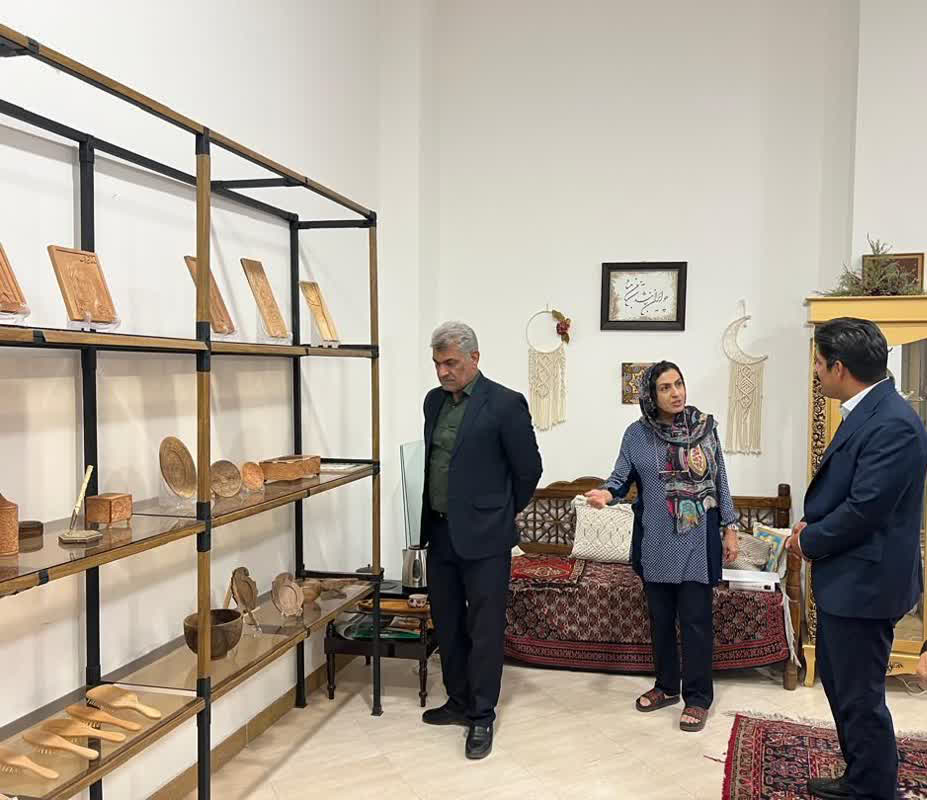 با هدف رفع مشکلات واحد‌های خصوصی از بازار هنر شیراز بازدید شد
