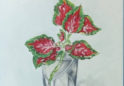 هنرمندی میان معماری و نقاشی