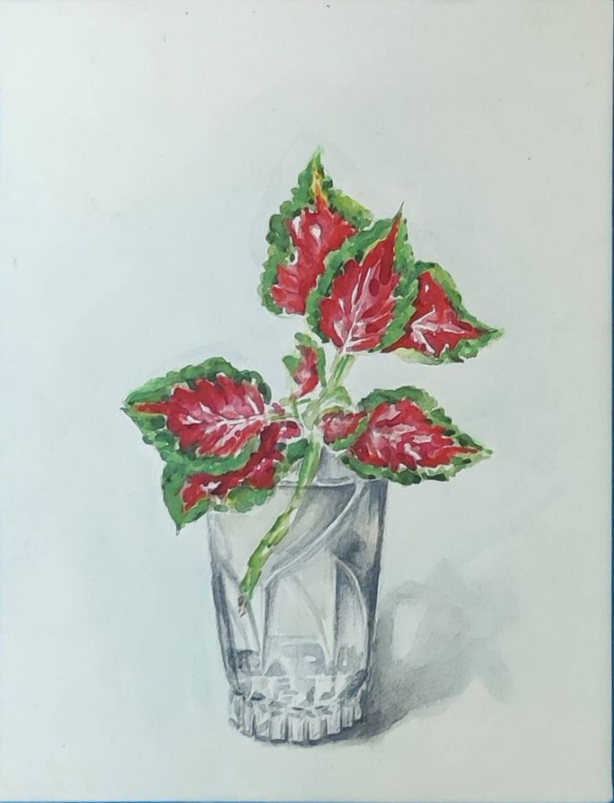 هنرمندی میان معماری و نقاشی